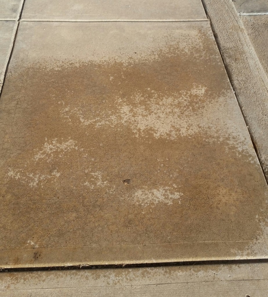Here's the value of doing this exercise on a concrete surface. As the water dries, you'll begin to see inconsistencies