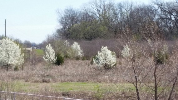 Stillwater at the intersection of HWY 51 and Sangre Rd.